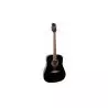 Comprar Ashton D20bk Black al mejor precio