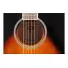 Comprar Ashton D20CEQtsb Sunburst al mejor precio