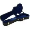 Comprar Ibanez MM100C Hollow Guitar Case al mejor precio