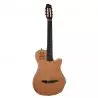 Comprar Godin Multiac Grand Concert Hg With Bag al mejor precio