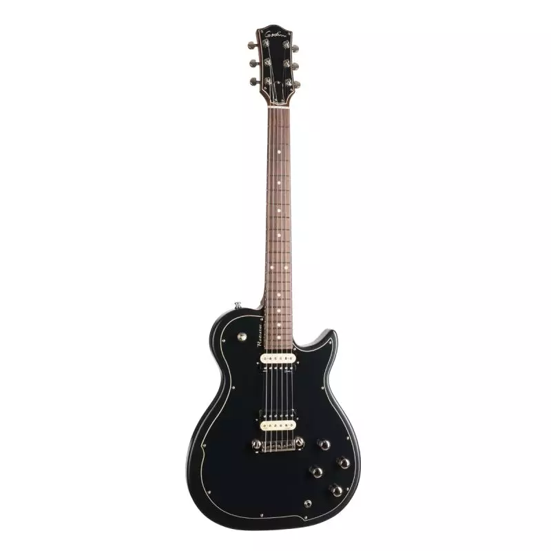 Godin Radiator Matte Black Rn With Bag