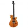 Comprar Godin Xtsa Koa Extreme Hg With Bag al mejor precio