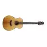 Compra takamine gn20ns al mejor precio