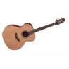 Compra TAKAMINE EN20 JUMBO E/A - NATURAL Series al mejor precio