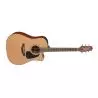 Compra takamine p1dc al mejor precio