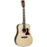 Comprar Tanglewood TW1000HSR Dreadnought al mejor precio