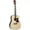 Comprar Tanglewood TW1000HSR Dreadnought al mejor precio