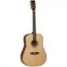 Comprar Tanglewood TW15HE Dreadnought al mejor precio