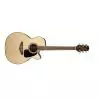 Compra takamine gn51cenat al mejor precio