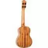 Comprar Ortega RUET-Sma Spalted Maple al mejor precio