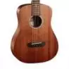 Comprar Cort Ad Mini Mahogany Op W/Bag al mejor precio