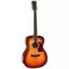 Comprar Cort Gold-O8 Lb Light Burst al mejor precio