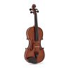 Comprar Violin Stentor Student II SH 1/4 al mejor precio