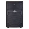 Comprar Peavey PvxTP 10 Dsp al mejor precio