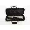 Comprar Bressant FL-380SEU Flauta al mejor precio