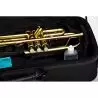 Comprar Bressant TR-210 Trompeta al mejor precio