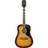 Comprar Eko Ranger 6 VR Dreadnought Honey Burst al mejor precio