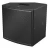 Bose AMM108 Monitor de escenario