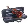 Compra violin carlo giordano vs2 1/2 al mejor precio