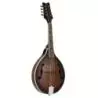 Comprar Ortega RMA30-WB A-Style Whiskey Burst al mejor precio