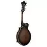 Comprar Ortega RMF30-WB F-Style Whiskey Burst al mejor precio