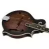 Comprar Ortega RMF30-WB F-Style Whiskey Burst al mejor precio