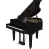 Roland GP-9 PE