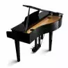 Kawai DG30 Digital Grand Piano