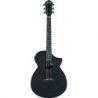 Comprar Ibanez AEWC13-WK Weathered Black al mejor precio