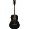 Comprar Ibanez PN12MHE-WK Black Open Pore al mejor precio