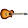 Breedlove Discovery S Concert Edgeburst Guitarra Electroacústica