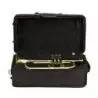Bressant Flg210 Fliscorno Si Bemol Dorado
