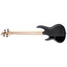 ESP LTD B-204Sm See Thru Black Satin