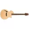 ESP LTD Tl-6 Natural