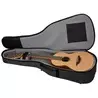 Comprar Sheeran By Lowden W01 Guitarra Acústica Natural al