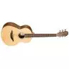 Comprar Sheeran by Lowden W-04 al mejor precio