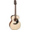 Comprar Takamine GLN12 ENS Natural al mejor precio