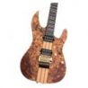 Comprar Sire Larry Carlton X10 Natural Satin al mejor precio