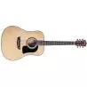 Washburn Ad5 Au Guitarra Acústica