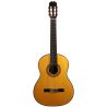 Antonio de Toledo ATF-17N Flamenca palosanto cutaway fishman