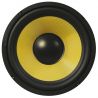 Compra Fenton Woofer de 13cm con cono Kevlar 100Wrms al mejor precio