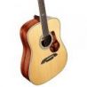 Comprar Alvarez MD60E HF HB Masterworks 60 Dreadnought al mejor