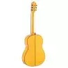 Admira Bulería Guitarra Flamenca