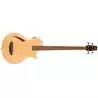 ESP LTD TL-4 Natural Bajo electroacústico
