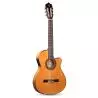 Alhambra 3F CT E1 Estrecha Electrificada Fishman