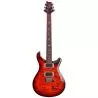 PRS SE Custom 24 Orange Tiger Smokeburst Limited