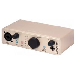 Arturia Minifuse 1 Champagne