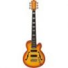 Compra Ibanez TCB1006-ALM - Signature Thundercat - 6 cuerdas - Autumn Leaf Burst Matte - c/estuche al mejor precio