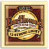 Compra ERNIEBALL JUEGO ACÚSTICA EARTHWOOD BZ. 12 ST. LIGHT 9-46 al mejor precio