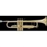 Compra Trompeta BACH Stradivarius LR-180/43 Goldmessing al mejor precio